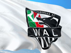 中国足球媒体与球迷之间的沟通误区与信任重建，中国足球球迷的心声